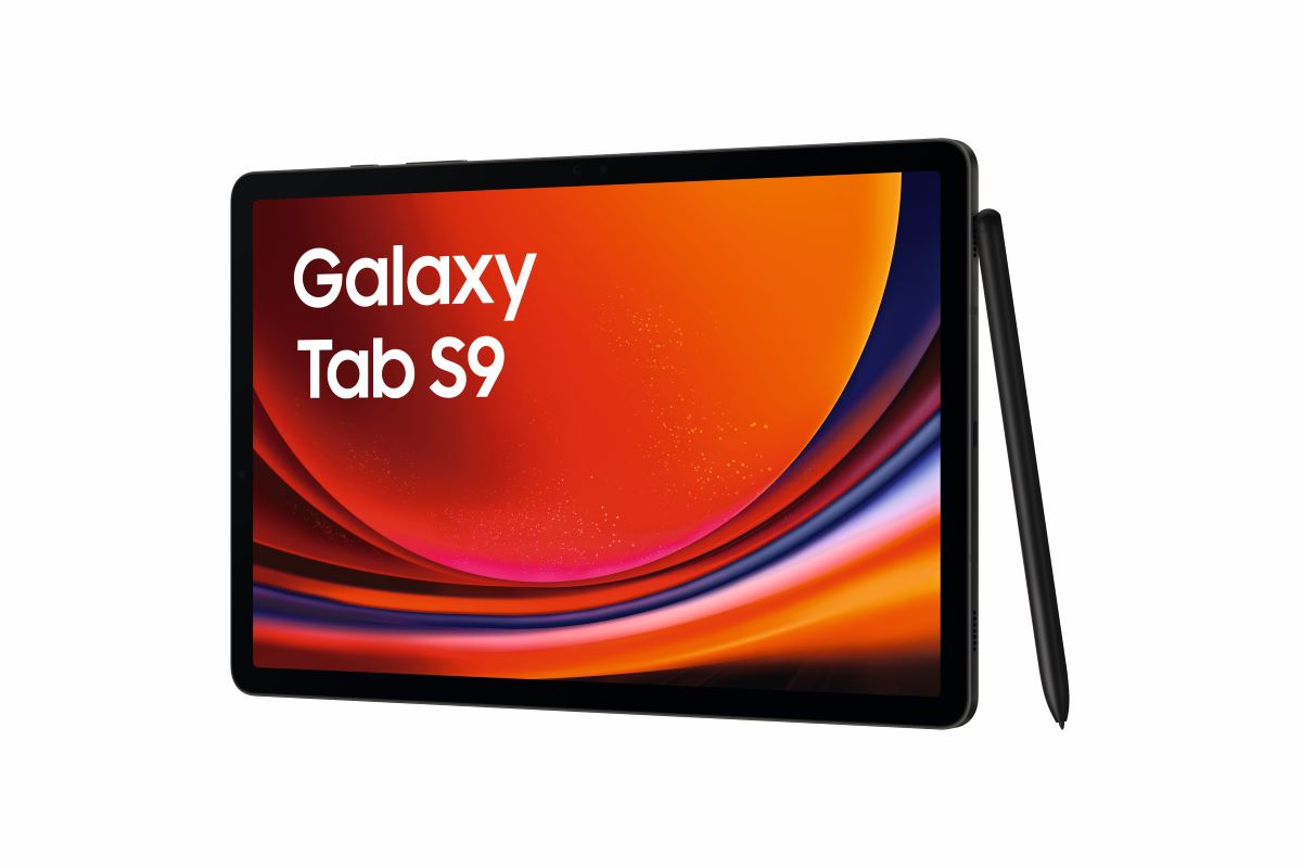Bild von Samsung X710N Galaxy Tab S9 Wi-Fi 256 GB (Grau) 11