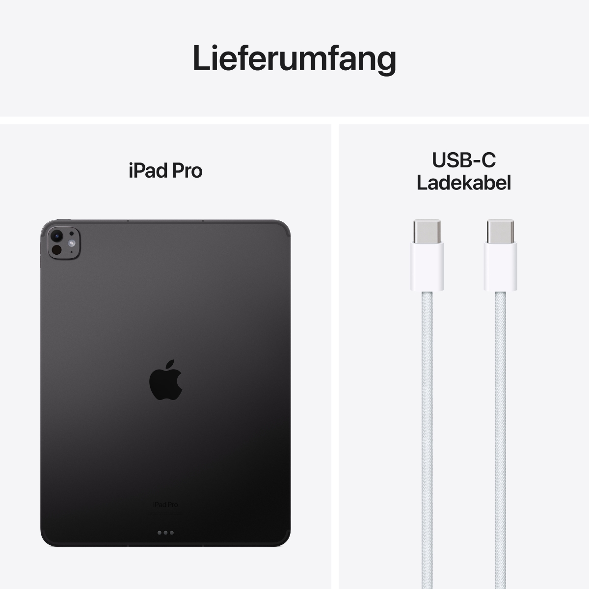 Bild von Apple iPad Pro 13 Wi-Fi + Cellular 256GB space schwarz (7.Gen.)