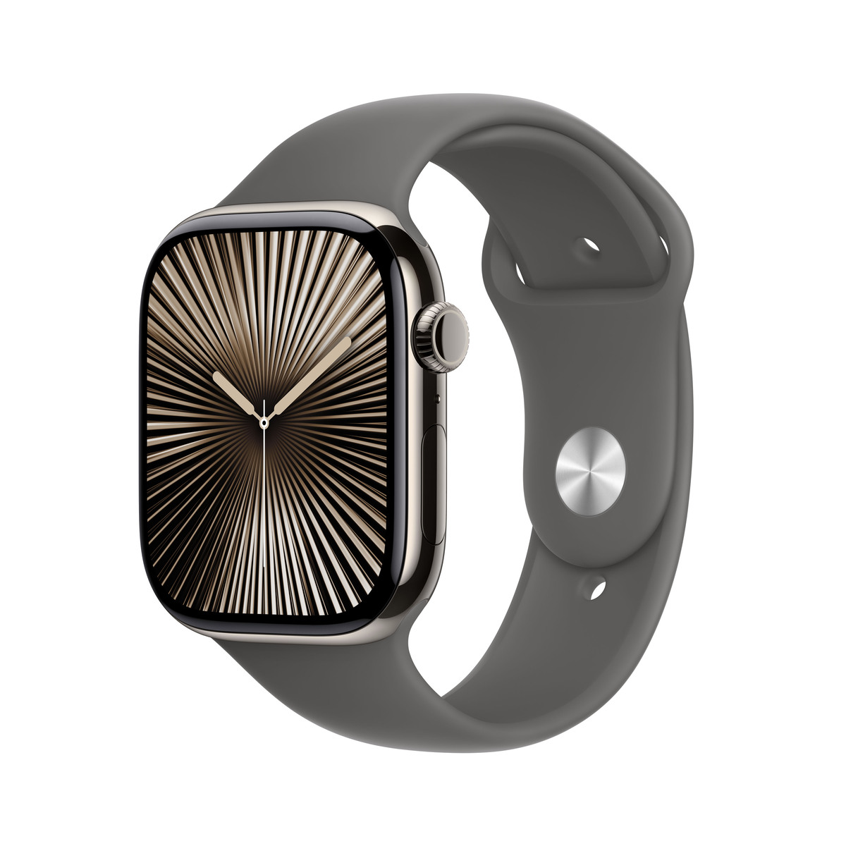 Bild von Apple Watch S10 Natur Titanium Sport Band Steingrau M/L GPS + Cellular 46mm MWYA3QF/A 2024