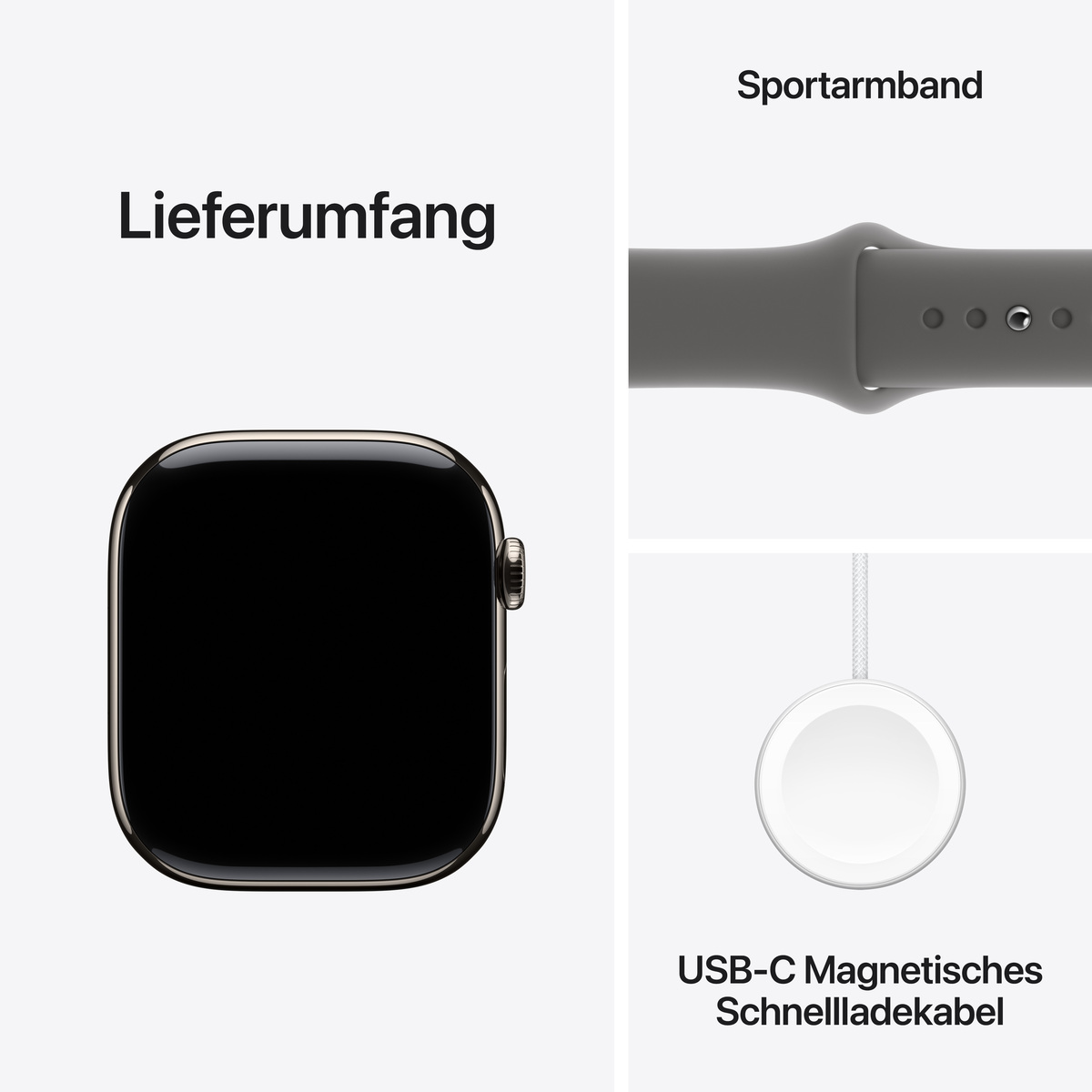 Bild von Apple Watch S10 Natur Titanium Sport Band Steingrau M/L GPS + Cellular 46mm MWYA3QF/A 2024