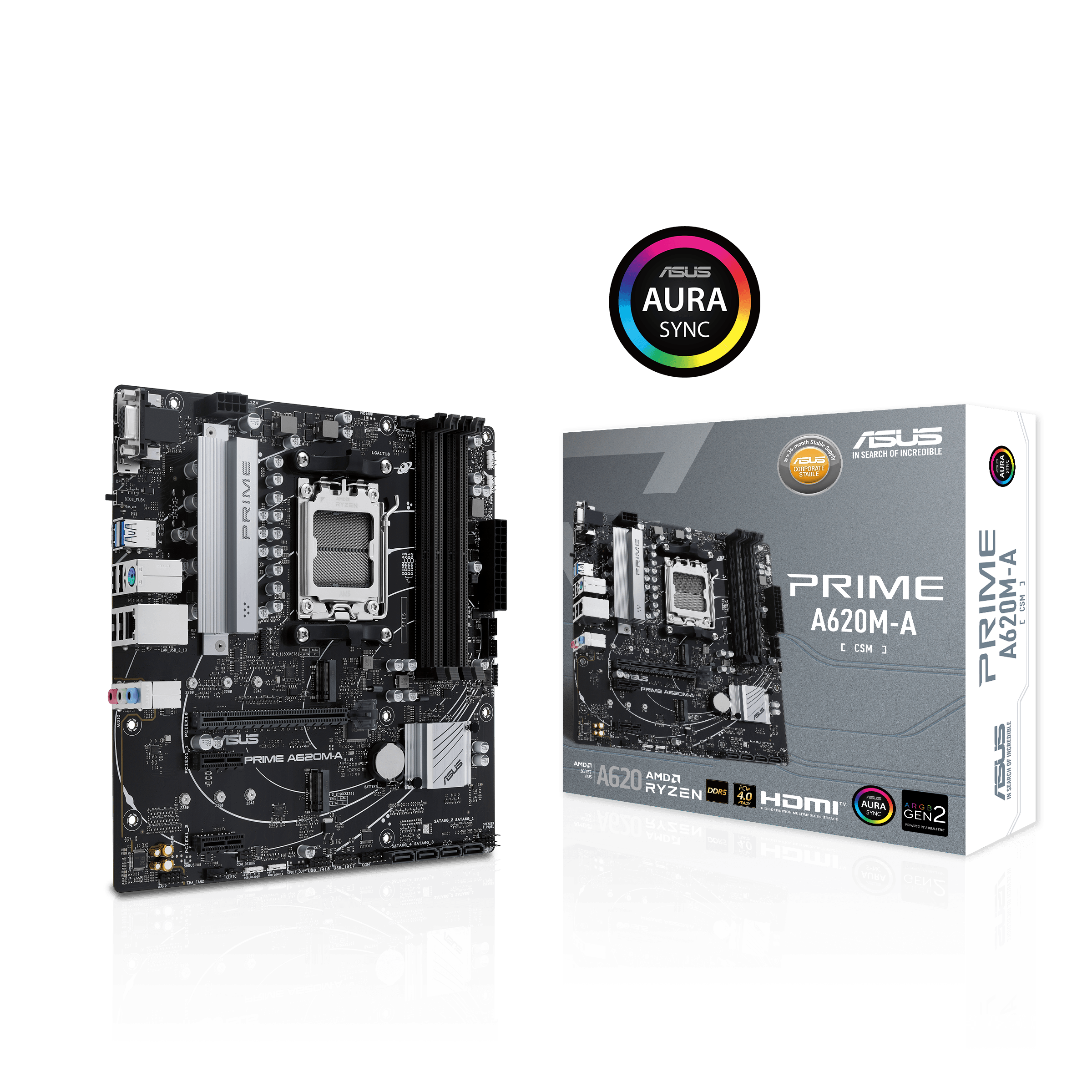 Bild von ASUS Prime A620M-A-CSM