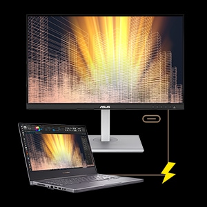 ASUS ProArt PA329CV Monitor -  IPS, Höhenverstellung, Pivot_9