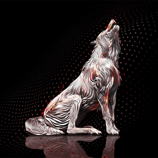 Seagate IronWolf Pro 4TB 3.5 Zoll SATA_1