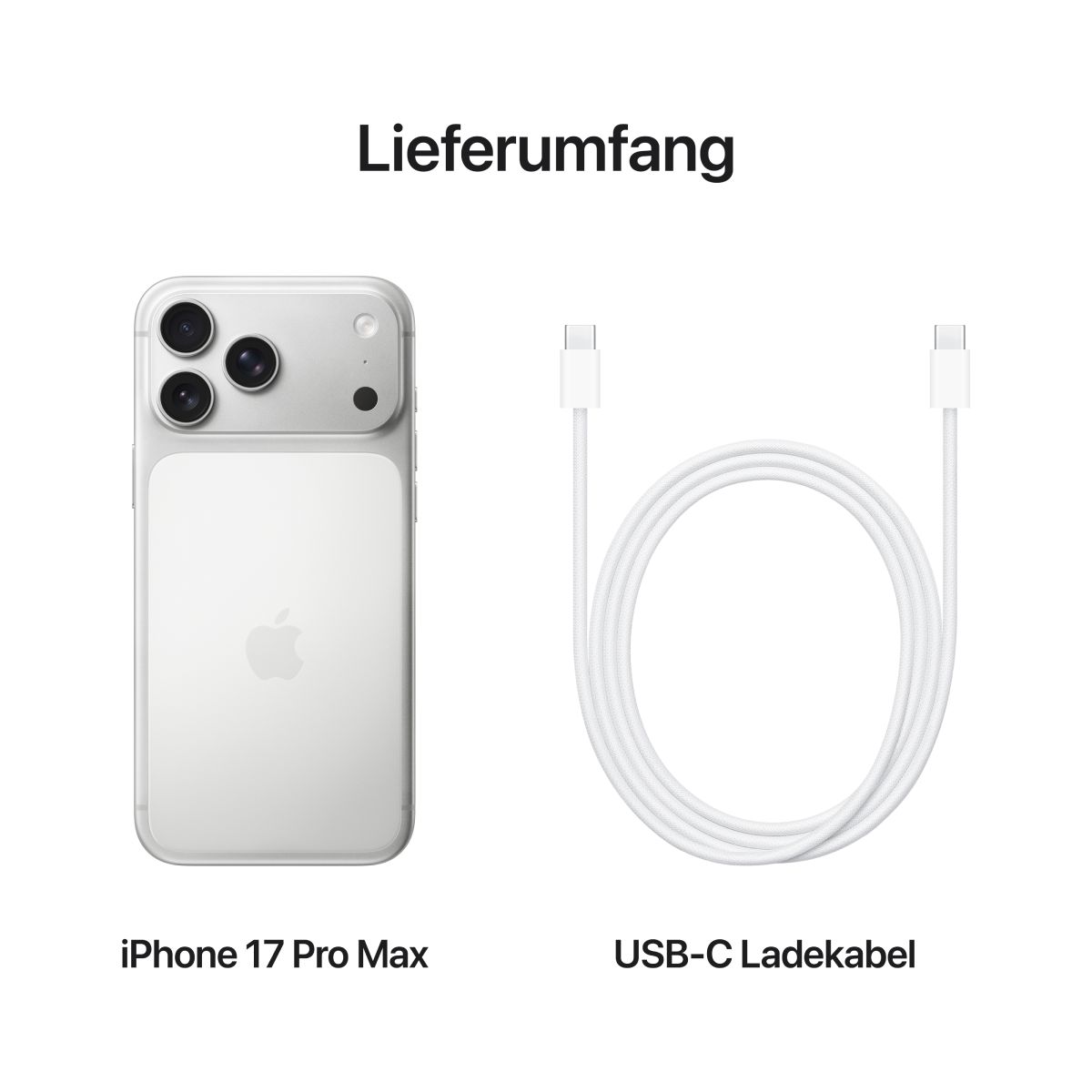 Bild von iPhone 17 Pro Max 1TB Silber