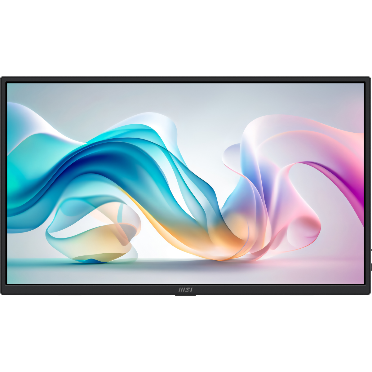 Bild von MSI PRO MP165DE E6 Tragbarer Monitor - 1920x1080 (FHD)